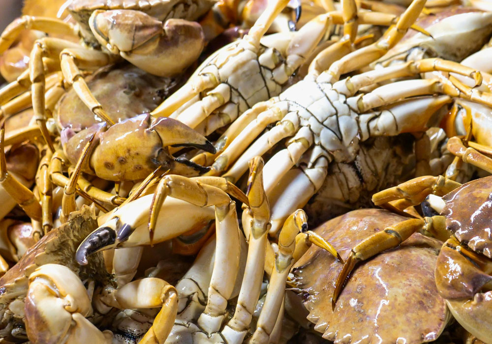 Jimbaran Beach - Seafood