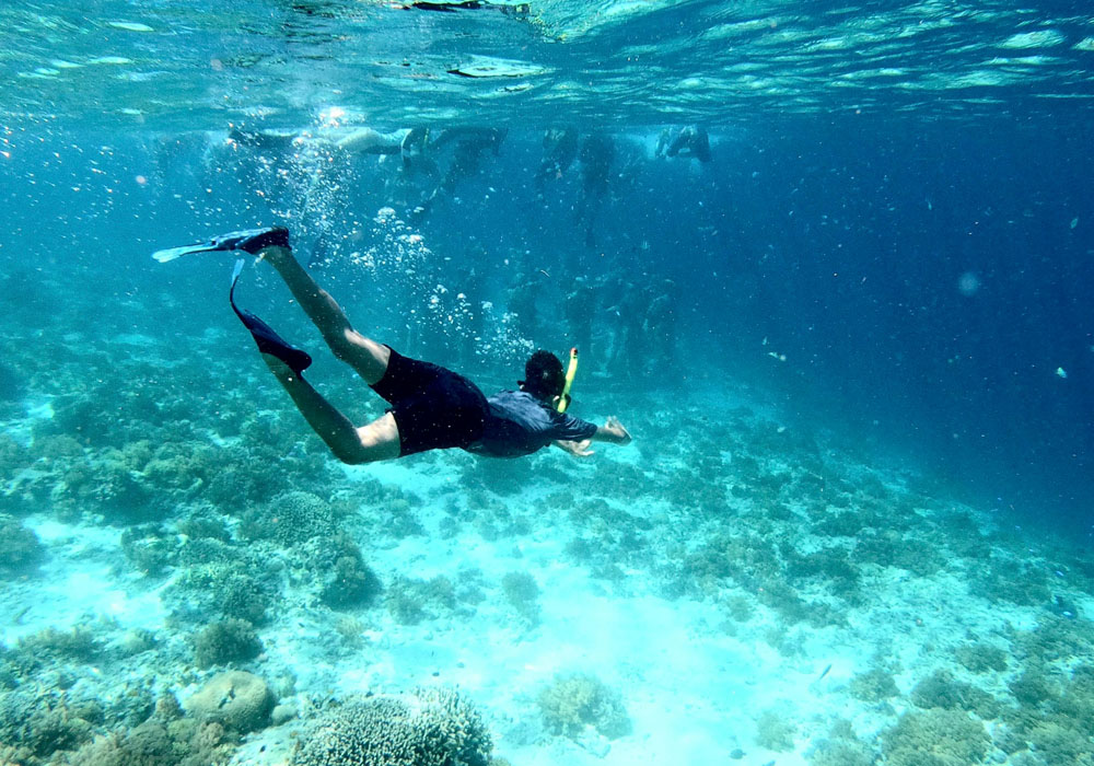 Snorkeling at PED village 1