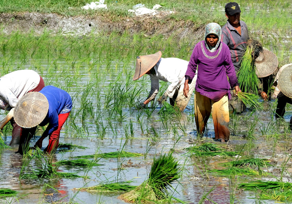 Sidemen Village Itinerary